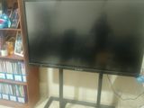 Singer Smart Board 65"128GB With Stand