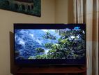 Singer Stellar 4K UHD 55 inch TV