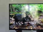 Singer Ultra Slim LED TV