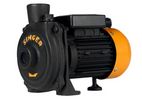 Singer Water Pump -0.5HP (WP-CH150S)