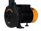 Singer Water Pump – 100Ft, 1″ X 1″, 1HP (WP-1-1CH-S)