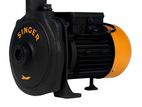 Singer Water Pump – 100Ft, 1″ X 1″, 1HP (WP-1-1CH-S)