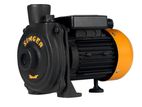 Singer Water Pump - 60Ft, 1" X 1", 0.5HP (WP-CH150-S)