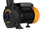 Singer Water Pump - 60Ft, 1" X 1", 0.5HP (WP-CH150-S)