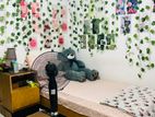 Single bed 6×3ft