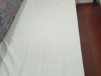 Single Bed