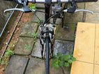 Single gear imported bike