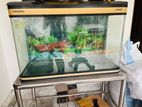 Single glass curved fish tank - BOYU