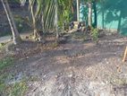 Single House for Rent in Rathanapitiya
