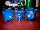 Single Phase Induction Motor