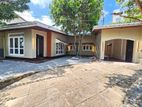 Single Storeid House Rent in Colombo 5