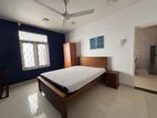 Single Storey 2 Bedroom House Rent In Colombo 4 - 4080U