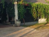 Single Storey House for Rent in Borella