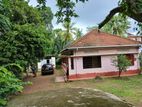 Single Storey House for Rent in Gangarama Road
