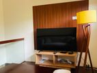 Single Storey House for Rent in Thalawathugoda.