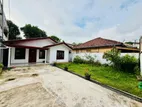 Single Storey House for Rent in Wattala