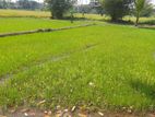 Single Storey House for Sale Homagama Ds79100