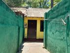 Single Storey House for Sale in Colombo 09