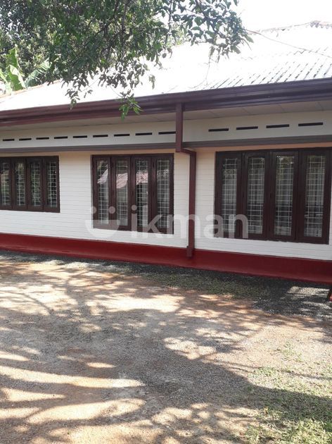 Single Storey House For Sale In Ragama | Ikman