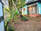 Single Storey House for Sale in Wellampitiya