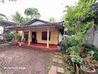 Single Storey House for Sale in Wellampitiya