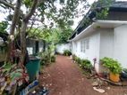 Single Storey House for Sale in Wellampitiya