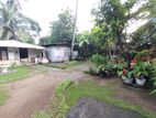 Single Storey House for Sale in Wellampitiya
