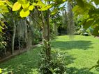 Single Storey House for Sale Koswatte Ds1548
