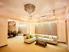 Single Storey Luxury House for Rent in Pannipitiya