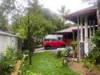 Single Storey Valuable House for Sale In Thalawathugoda