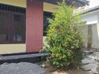 Single storied house for rent - Dehiwala