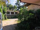 Single Storied House for Sale in Yakgahapitiya, Kandy (TPS2043)