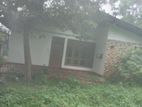 Single Storied House with 12.5 P Land for Sale in Nugegoda