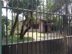 Single Story 2 Bedrooms House For Sale - Dehiwala .