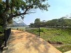 Single Story House For Land Value Kurunegala 650 m Away From the Lake