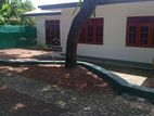 single story house for rent