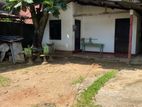 Single Story House for Rent in Malabe