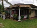 Single story House For Rent with Furniture In Ratmalana