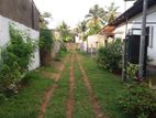 Single Story House for Sale Ds112 - Thalahena