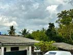 single story house for sale Ds308040