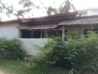 Single Story House For sale Homagama