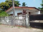 Single Story House for Sale in Gothatuwa , Bopattha