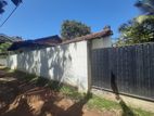 Single Story House for Sale in Kandana (C7-5211)