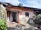 Single Story House for Sale in Kotikawatta