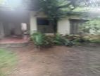 Single Story House For sale land value only