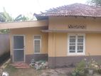 Single Story House For sale land value only Nugegoda