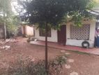 Single Story House for Sale - Maharagama
