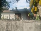 Single Story House for Sale Maharagama Town