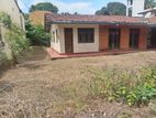 Single Story House for Sale Maharagama Town