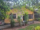 Single Story House for Sale Piliyandala City